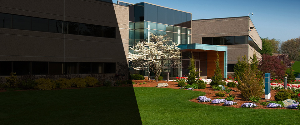 Mineral Landscapers