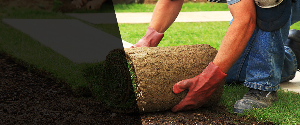 Mineral Landscapers